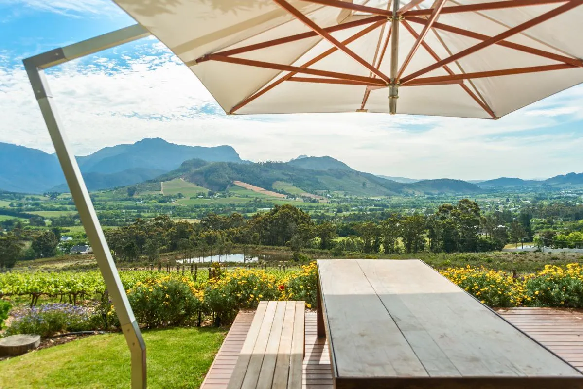 cantilever_umbrellas_images.images.1740556846179