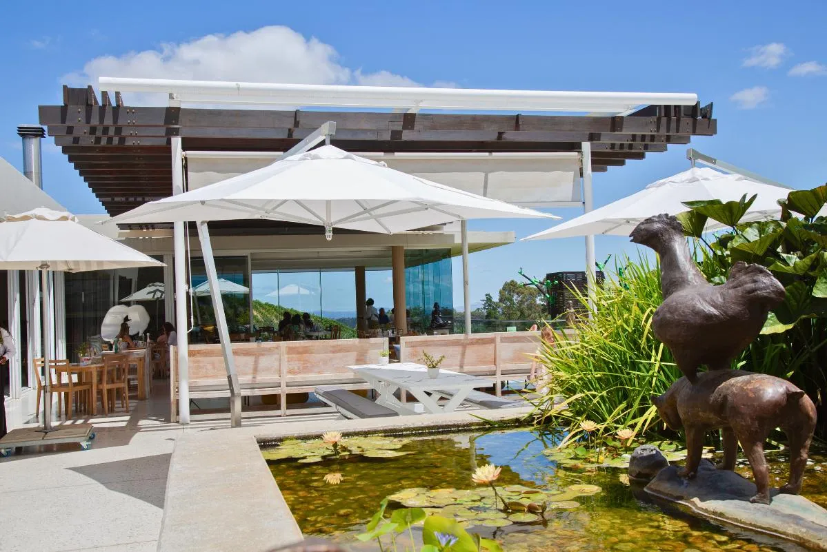 cantilever_umbrellas_images.images.1740556846650