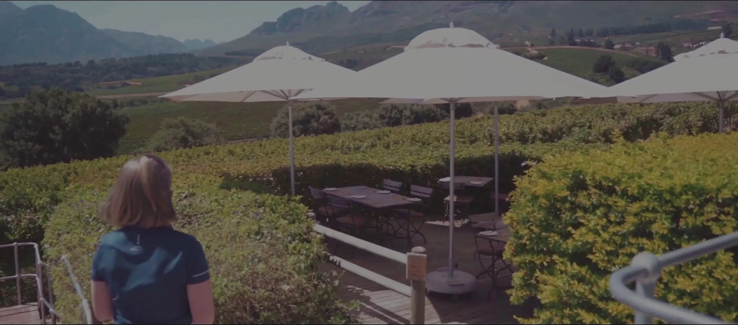 center_pole_umbrellas_images.images.1740557101223