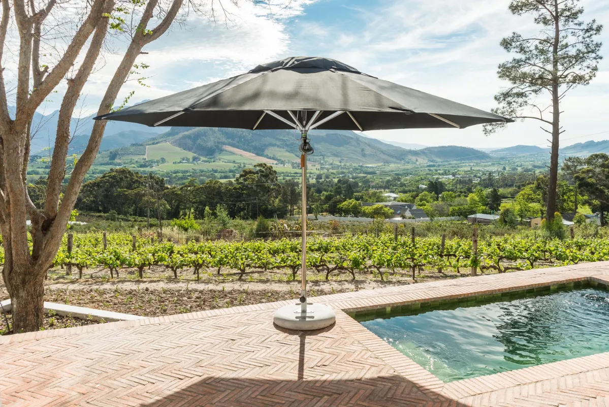 center_pole_umbrellas_images.images.1740557105302