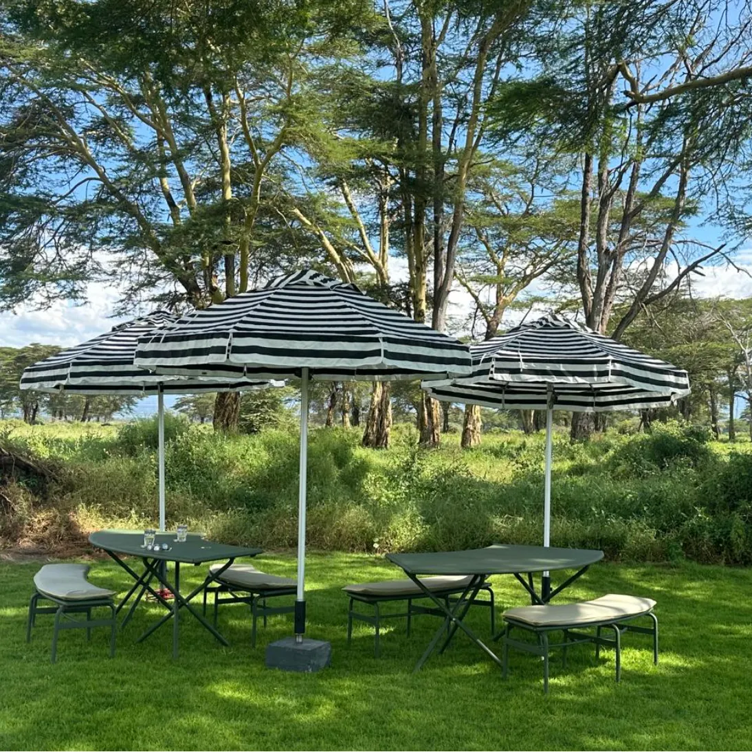 center_pole_umbrellas_images.images.1740557113763