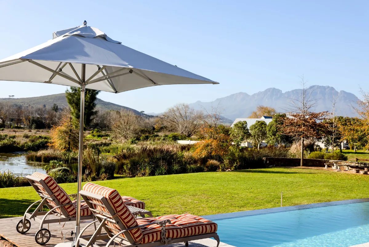 center_pole_umbrellas_images.images.1740557144078