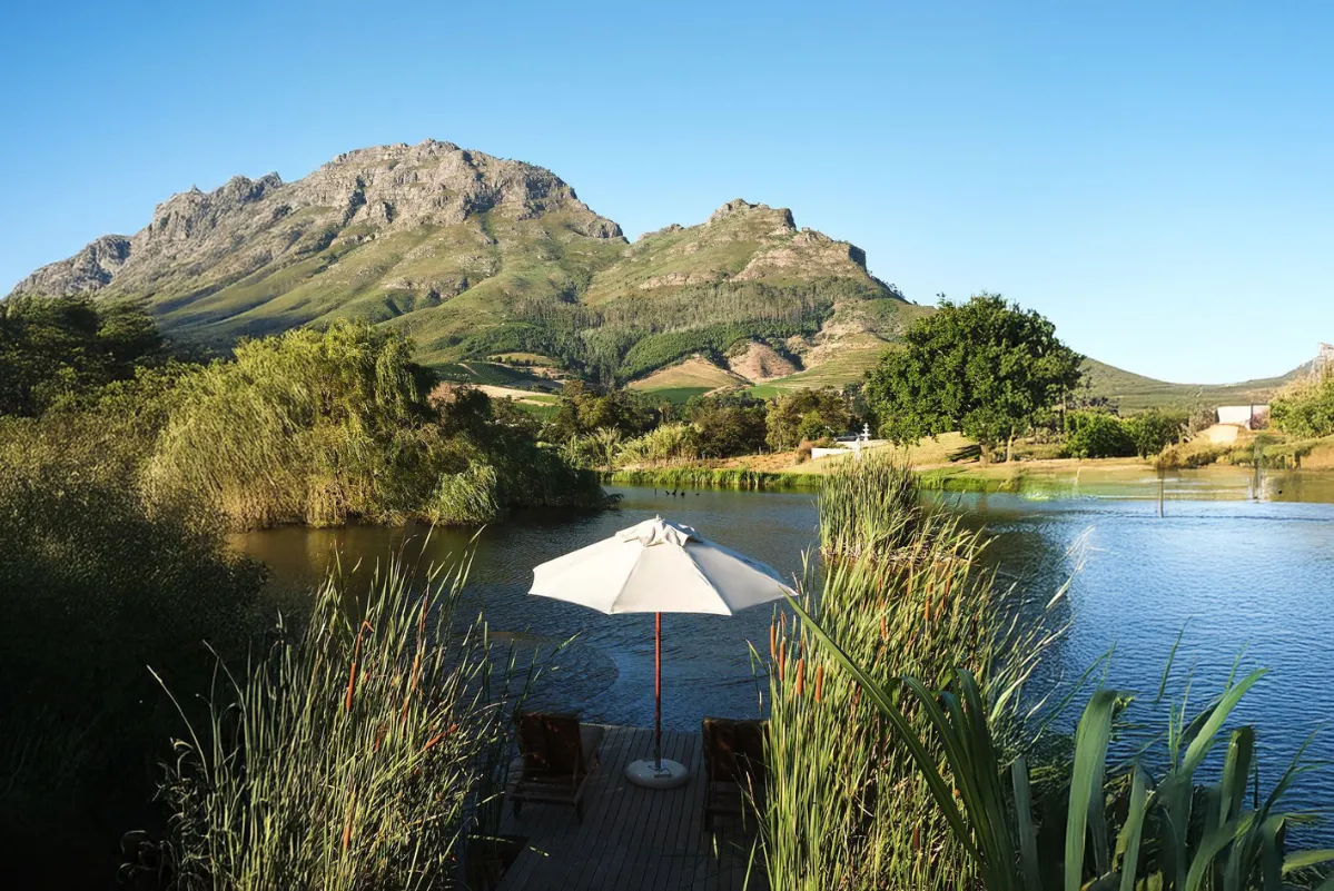 center_pole_umbrellas_images.images.1740557147643